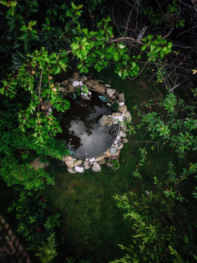 Villa Casuta De Sub Deal - Ciubar Si Piscina Măgura Exterior foto